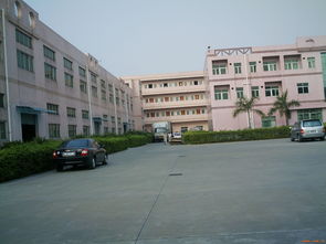 深耕莞邑，服务湾区——深圳市伙伴房地产经纪东莞分公司产品展示与物业管理